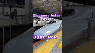 japantravel japanesetechnology japanesetrain bullet vairalshorts subscribe [upl. by Mharg]