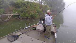 Chemung River Musky  tactics [upl. by Nerol]