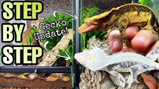 HOW TO SETUP A CRESTED GECKO VIVARIUM  GECKO UPDATE [upl. by Charline]