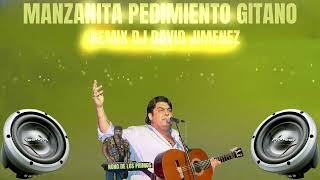 MANZANITA PEDIMIENTO GITANO REMIX DJ DAVID JIMENEZ [upl. by Atteve]