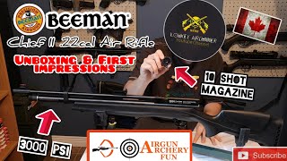 Beeman Chief II  3000 PSI budget PCP air rifle  Unboxing amp First impressions AirgunArcheryFun [upl. by Loydie57]