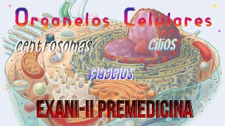 EXANIII Premedicina  Organelos Célulares 44 [upl. by Linker]