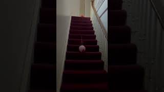 HORRIFYING paranormal evidence captured at the Sallie House demonic scary haunting haunted [upl. by Andres581]