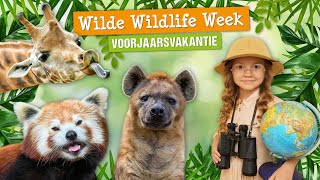 Wilde Wildlife Week  Voorjaarsvakantie 2024  DierenPark Amersfoort [upl. by Joh]