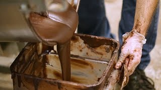 How Chocolate is Made [upl. by Arlyn901]