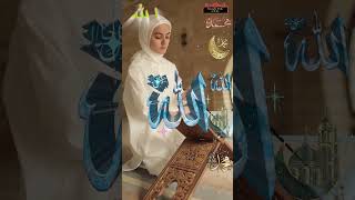 Straight Path of Life সিরাতাল মুস্তাকিম الصِّرَاطَ الۡمُسۡتَقِیۡمَ shorts status islamic yt [upl. by Eijneb]