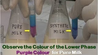 Detection of Adulteration in Milk  Amrita University [upl. by Inafit]