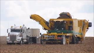 Potato Harvest with a Ploeger 2017 [upl. by Esahc]