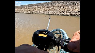 Productive arvo trolling at Taylors Lake for yellowbelly redfin and Murray Cod [upl. by Giefer]