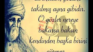 Mevlana Sözleri 🌹 Dinleyin İlaç Gibi Gelecek 🌹 Suskunluğum asaletimdendir mevlana [upl. by Gefell]