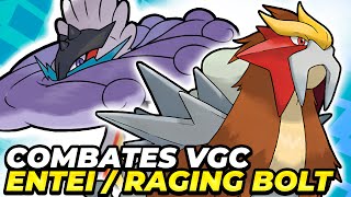 ¡ENTEI ES INCREÍBLE  COMBATES VGC POKÉMON ESCARLATA Y PÚRPURA [upl. by Madlen243]