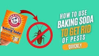 How To Use Baking Soda To Get Rid Of Pests [upl. by Xilef]