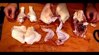 How to Butcher a Whole Chicken [upl. by Judie]