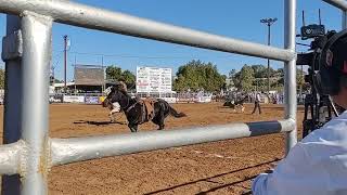 2023 Brawley Cattle Call Rodeo Cows 1 Cowboys O [upl. by Colner531]