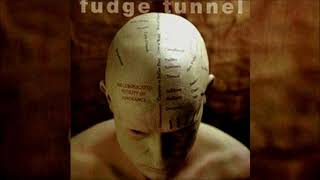 Fudge Tunnel  The Complicated Futility Of Ignorance 1994 Full Album HQ [upl. by Rehpotsirc]