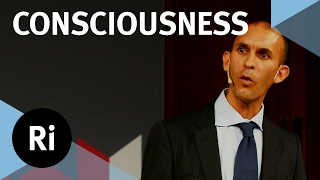 The Neuroscience of Consciousness – with Anil Seth [upl. by Aicenev246]