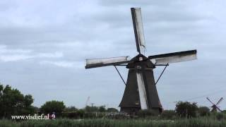 Overwaard Molen No 3 met draaiende wieken [upl. by Joyan]