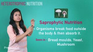 Life Process  4  Heterotrophic mode of nutrition  CBSE Class 10 [upl. by Llesirg]