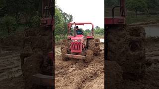 Mahindra Tractor 4WD Tochan King – Most Powerful Pulling Machineviral shorts farming tochanking [upl. by Vally364]