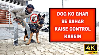 German shepherd outdoor training for better control Dog training in hindi [upl. by Jamnis]