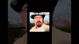 Top 5 Walter Whites [upl. by Aniled]