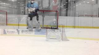 Balance Training  Incorporating balance coordination into goaltender training [upl. by Rexanna211]