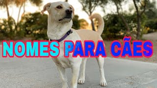 Nomes para cachorros de comidas e bebidas [upl. by Ttezzil]