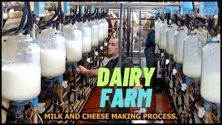 Modern Dairy Farm Technology  Milk Making Process  How To Cheese Is Made [upl. by Cummins]