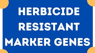 Herbicide resistant marker genes  Plant biotechnology [upl. by Parsifal]