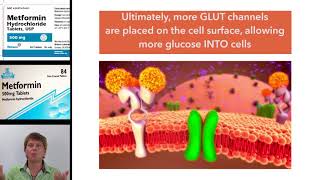 Metformin Mechanism of Action [upl. by Enamart636]