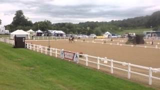 Summerhouse Zelham and Sara Gallop Hartpury Int1 MFS CDI 2014 wwwsaragalloptrainingcouk [upl. by Carter]