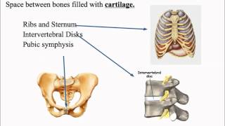 Articulation and Classifications of Articulations [upl. by Unhsiv]