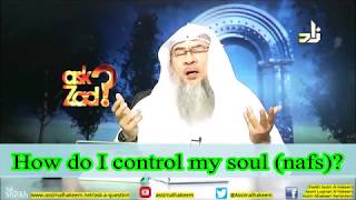 How to control my Nafs  Sheikh Assim Al Hakeem [upl. by Colis]