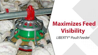 ChoreTime LIBERTY® Poult Feeder [upl. by Nelia]