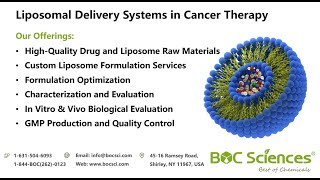 Liposomal Delivery System in Cancer Therapy  Liposomes Formulation [upl. by Anirdnajela]