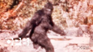 The Film That Made Bigfoot A Star  OPB [upl. by Ettenna]