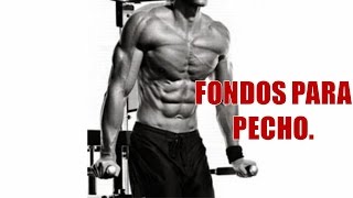 Fondos para Pecho Chest Dips DESARROLLO MUSCULAR PARA PECTORALES [upl. by Faden804]