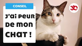 Jai peur de mon chat  les conseils dun vétérinaire [upl. by Malva350]