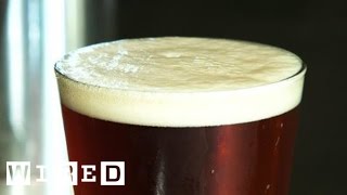 How to Tap a Keg and Master a Perfect Pour [upl. by Mita]