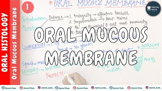 Oral Mucous Membrane  Functions of oral mucous membrane  OMM  Dr Paridhi Agrawal [upl. by Graner]