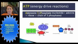 energy TRANSFER 17 min 23 sec [upl. by Aramak20]