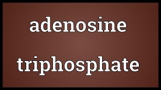 Adenosine triphosphate Meaning [upl. by Hali]