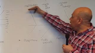 DIAGRAMA DE ISHIKAWA [upl. by Vic]