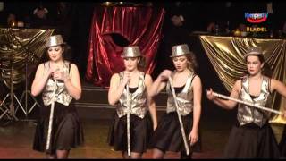 Carnaval 2011 Bladel Zittingsavond Muggezifters [upl. by Sheya3]