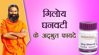 गिलोय घनवटी Giloy Vati के अद्भुत फायदे  Swami Ramdev [upl. by Danie]