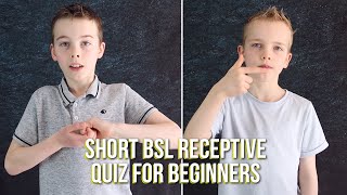 Short BSL Receptive Quiz for Beginners [upl. by Regine730]