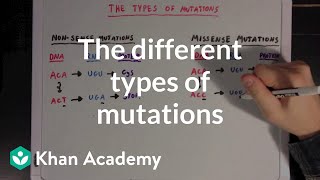 The different types of mutations  Biomolecules  MCAT  Khan Academy [upl. by Lucille566]