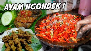 JUALAN AYAM NGONDEK GEGARA ISENG TERNYATA MODALNYA 5 JUTA [upl. by Maltz]