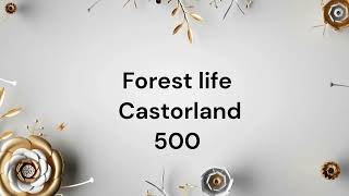 Puzzle Time Lapse Forest life Castorland 500 [upl. by Cirred]