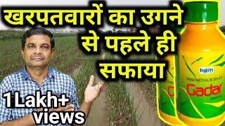 Pendimethalin 30EC की पूरी जानकारी  Full information about Pendimethalin  Evergreen world [upl. by Aneloaup]